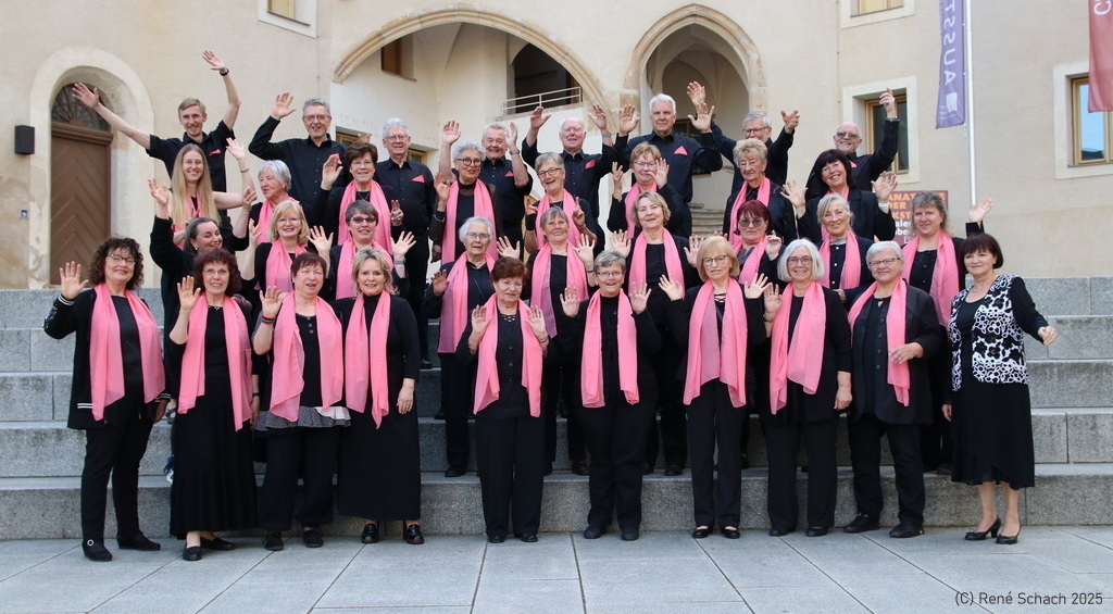Der Volkschor Reinsdorf im Jahr 2025 auf dem Hof der Schloßkirche in Lutherstadt Wittenberg